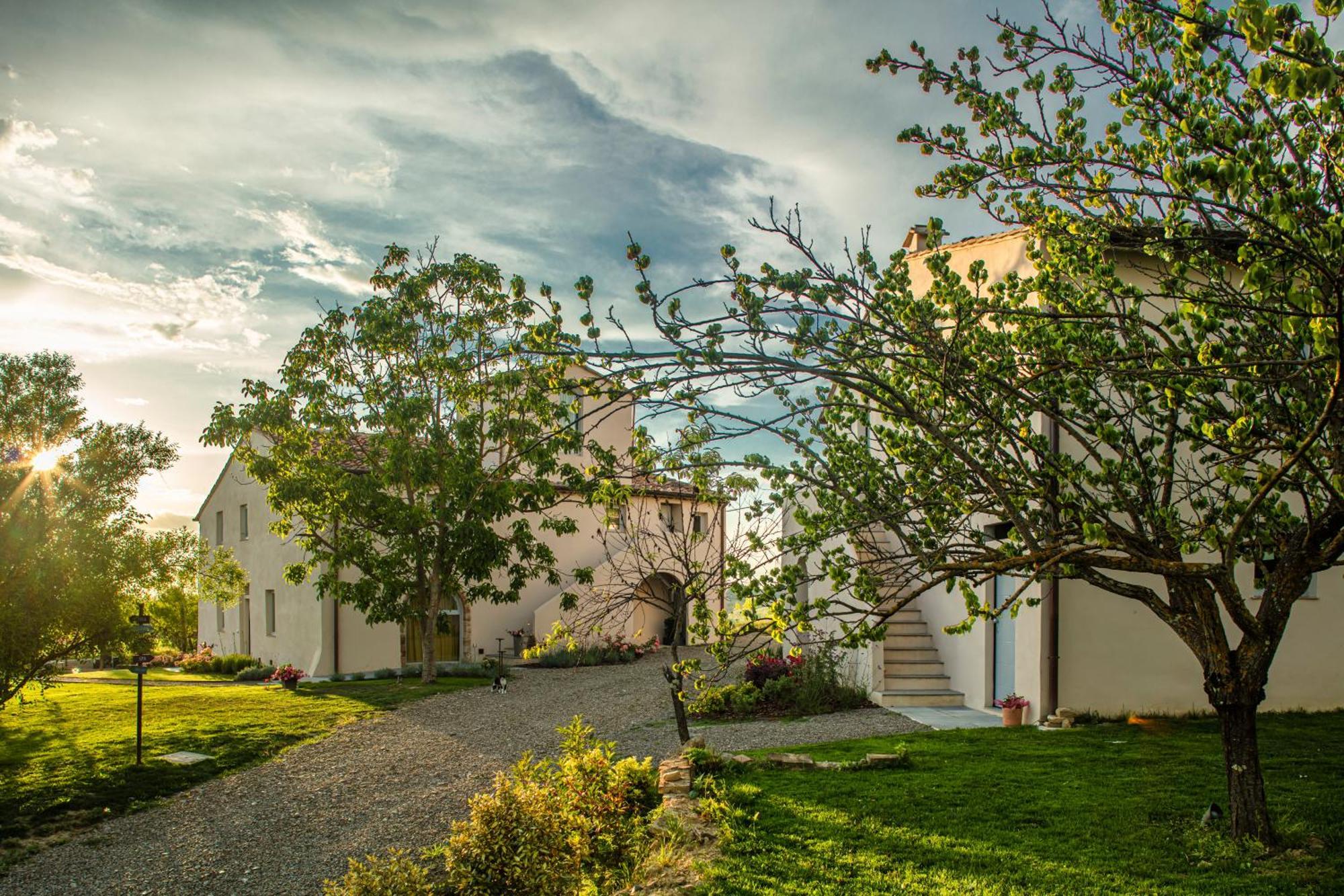 체르탈도 Relais Borgo Elissa B&B 외부 사진